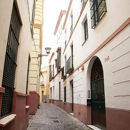 Apartment Isg Conde De Ibarra 9 Free Parking *